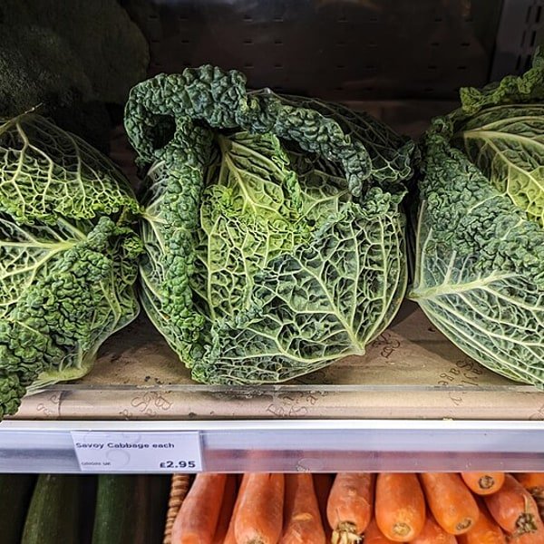 Savoy Cabbage