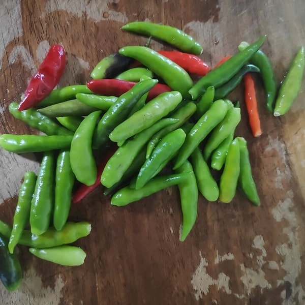 Thai Bird Chili