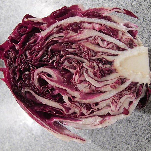 Radicchio Treviso